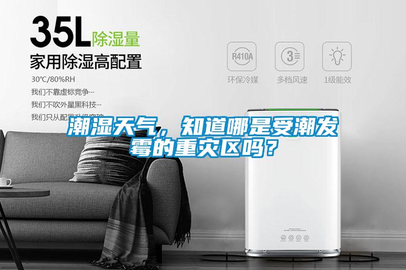 潮濕天氣，知道哪是受潮發(fā)霉的重災區(qū)嗎？