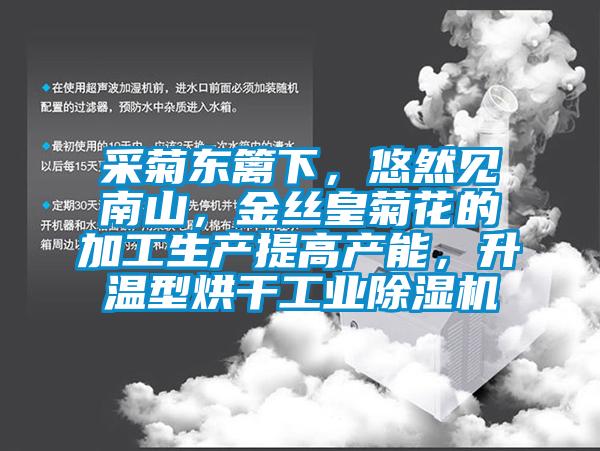 采菊東籬下，悠然見南山，金絲皇菊花的加工生產(chǎn)提高產(chǎn)能，升溫型烘干工業(yè)除濕機
