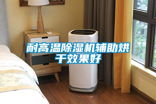 耐高溫除濕機(jī)輔助烘干效果好
