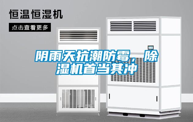 陰雨天抗潮防霉，除濕機(jī)首當(dāng)其沖
