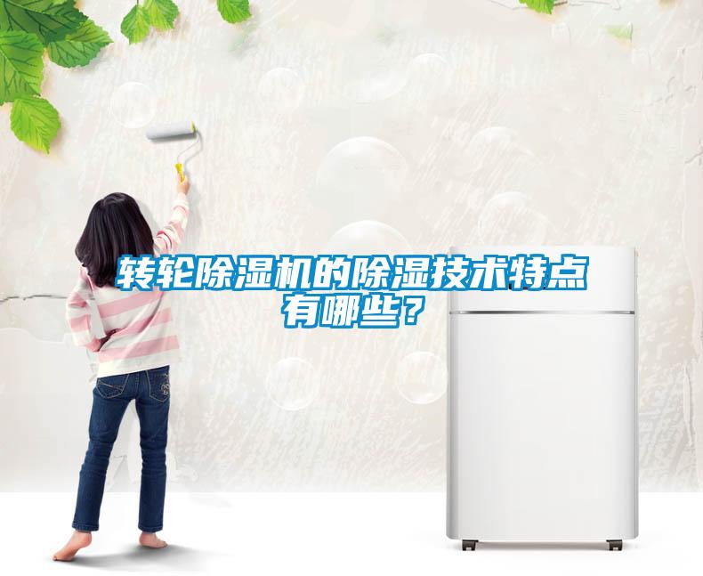 轉(zhuǎn)輪除濕機(jī)的除濕技術(shù)特點(diǎn)有哪些？
