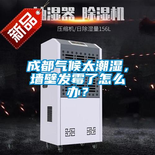 成都?xì)夂蛱睗?，墻壁發(fā)霉了怎么辦？