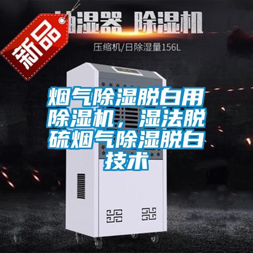 煙氣除濕脫白用除濕機(jī)，濕法脫硫煙氣除濕脫白技術(shù)