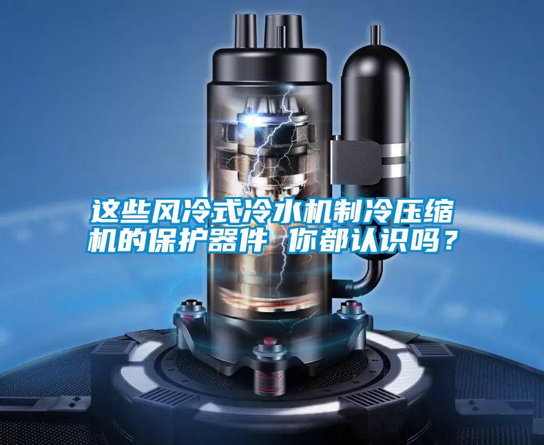 這些風(fēng)冷式冷水機(jī)制冷壓縮機(jī)的保護(hù)器件 你都認(rèn)識(shí)嗎？