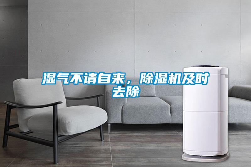 濕氣不請自來，除濕機及時去除