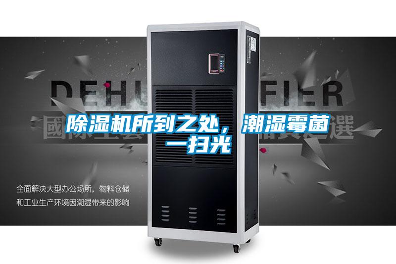 除濕機(jī)所到之處，潮濕霉菌一掃光