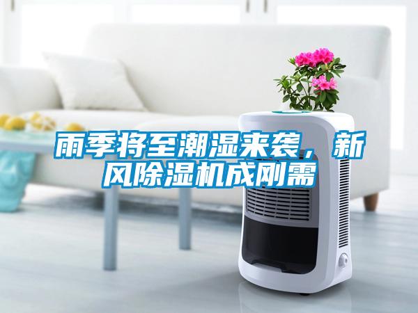 雨季將至潮濕來襲，新風除濕機成剛需