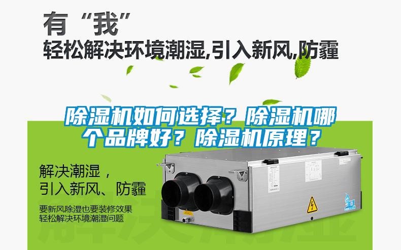 除濕機(jī)如何選擇？除濕機(jī)哪個(gè)品牌好？除濕機(jī)原理？