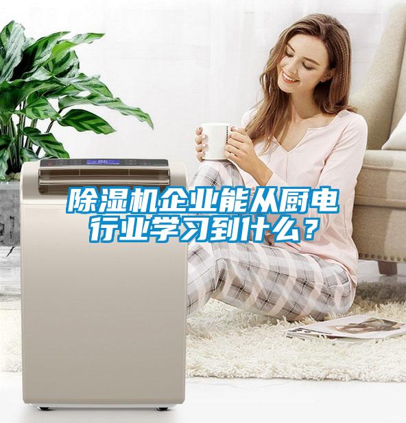 除濕機企業(yè)能從廚電行業(yè)學習到什么？