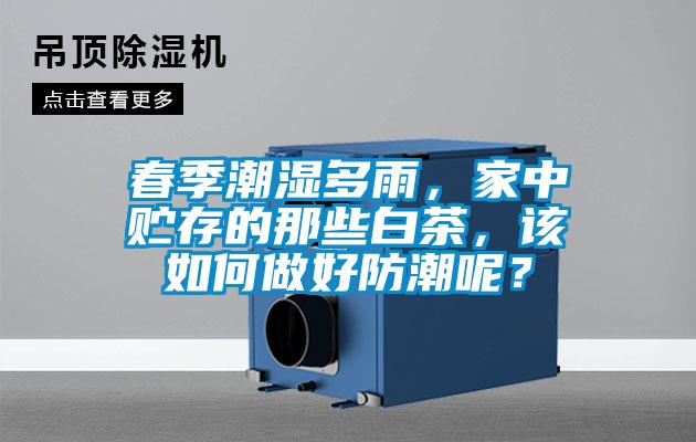春季潮濕多雨，家中貯存的那些白茶，該如何做好防潮呢？
