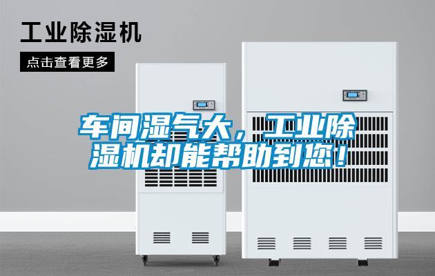 車間濕氣大，工業(yè)除濕機(jī)卻能幫助到您！