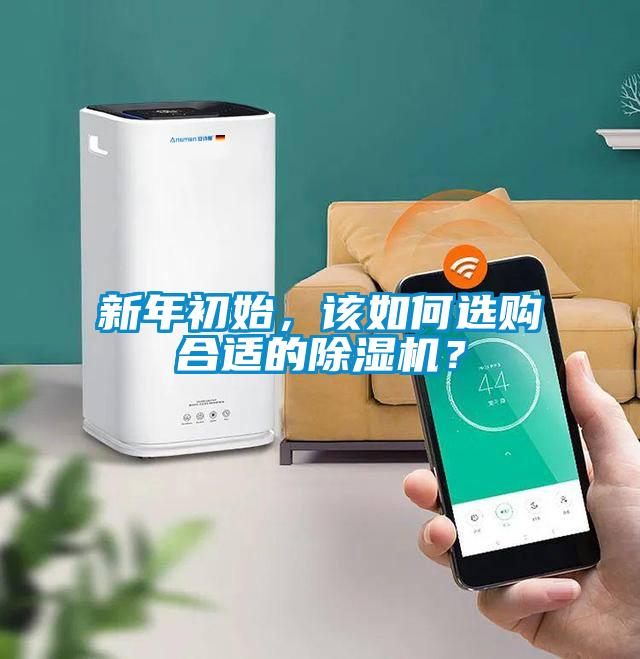 新年初始，該如何選購合適的除濕機(jī)？