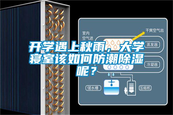 開學遇上秋雨，大學寢室該如何防潮除濕呢？