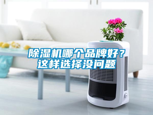 除濕機(jī)哪個(gè)品牌好？這樣選擇沒問題