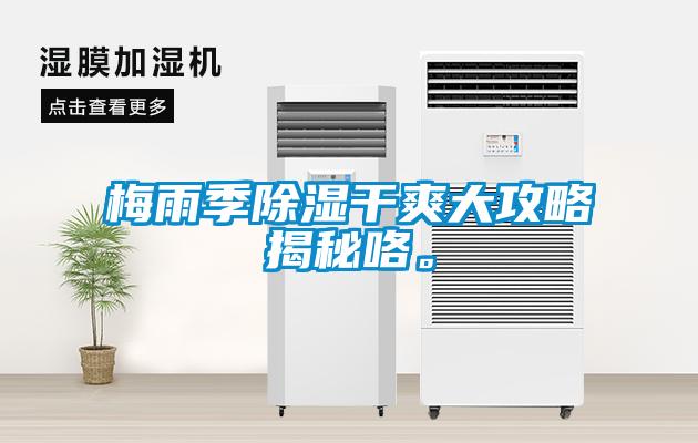 梅雨季除濕干爽大攻略揭秘咯。