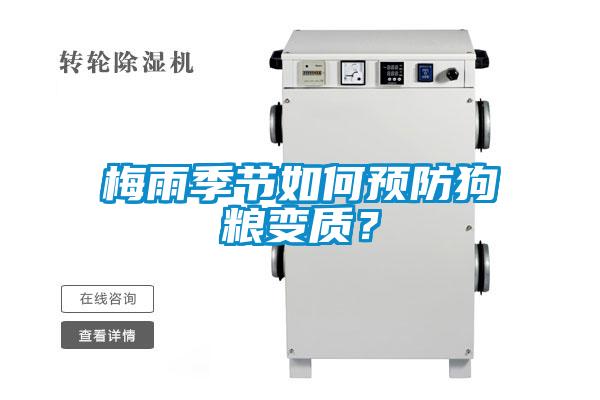 梅雨季節(jié)如何預防狗糧變質？