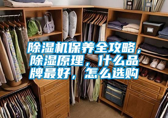 除濕機保養(yǎng)全攻略，除濕原理，什么品牌最好，怎么選購