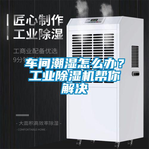 車間潮濕怎么辦？工業(yè)除濕機幫你解決