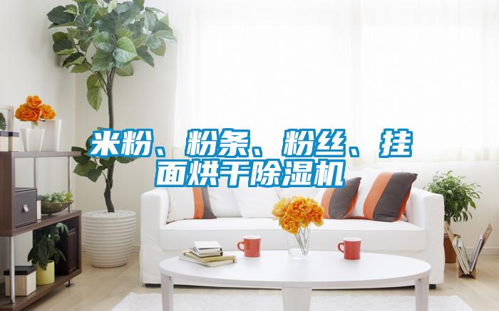 米粉、粉條、粉絲、掛面烘干除濕機