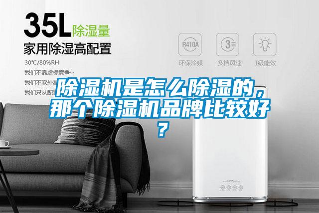 除濕機(jī)是怎么除濕的，那個(gè)除濕機(jī)品牌比較好？