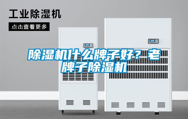 除濕機(jī)什么牌子好？老牌子除濕機(jī)