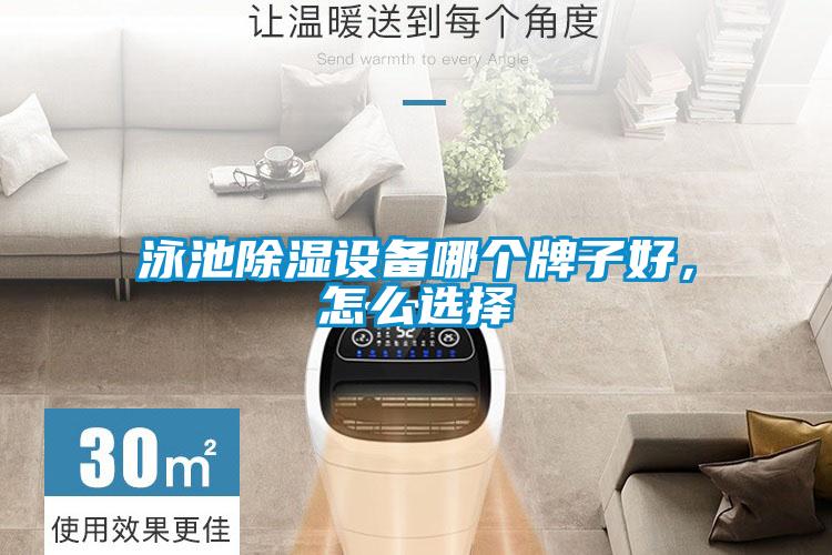泳池除濕設(shè)備哪個(gè)牌子好，怎么選擇