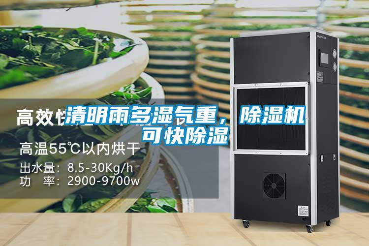清明雨多濕氣重，除濕機(jī)可快除濕