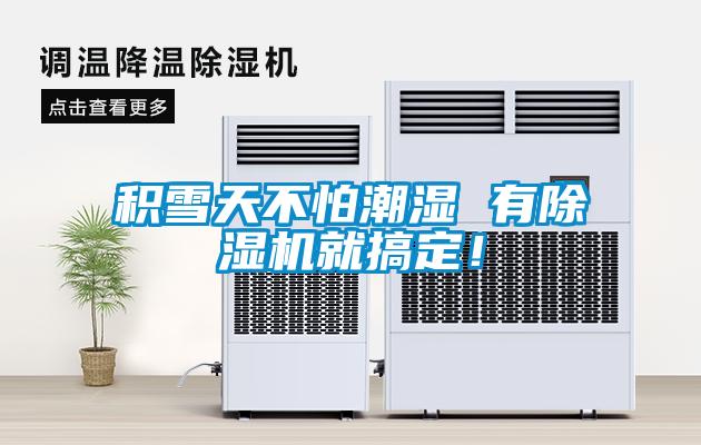 積雪天不怕潮濕 有除濕機就搞定！