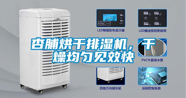 杏脯烘干排濕機(jī)，干燥均勻見效快