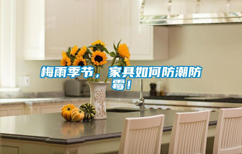 梅雨季節(jié)，家具如何防潮防霉！