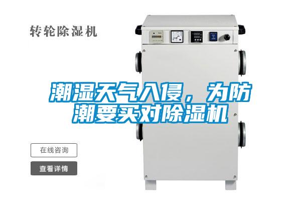 潮濕天氣入侵，為防潮要買對除濕機