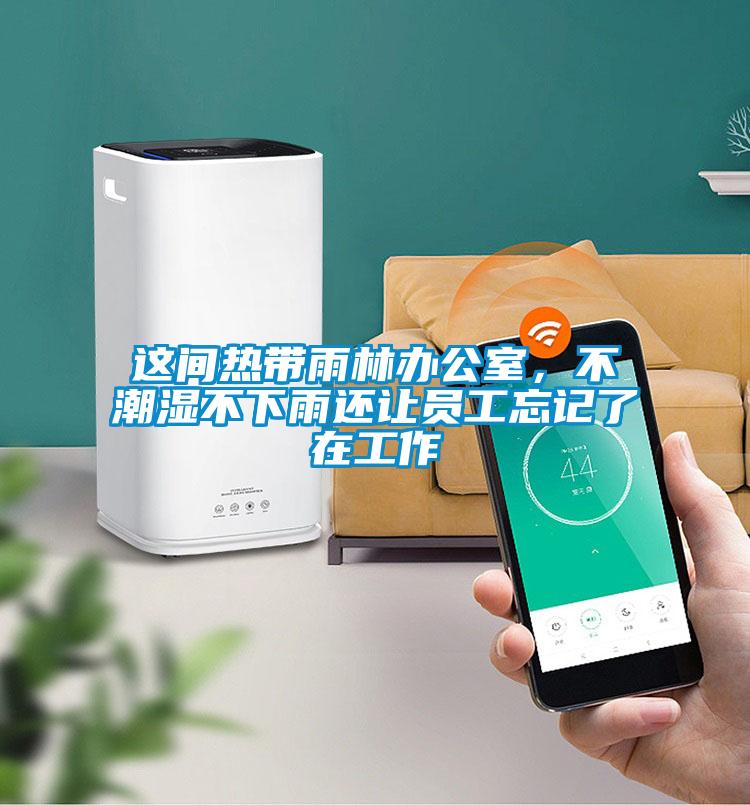 這間熱帶雨林辦公室，不潮濕不下雨還讓員工忘記了在工作