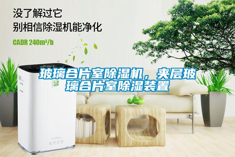 玻璃合片室除濕機(jī)，夾層玻璃合片室除濕裝置