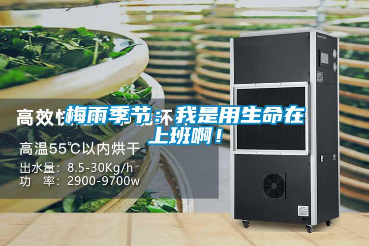 梅雨季節(jié)：我是用生命在上班??！