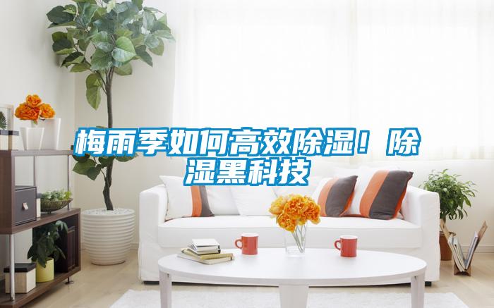 梅雨季如何高效除濕！除濕黑科技