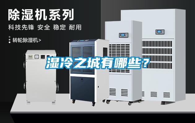 濕冷之城有哪些？