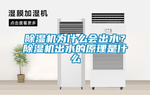 除濕機為什么會出水？除濕機出水的原理是什么