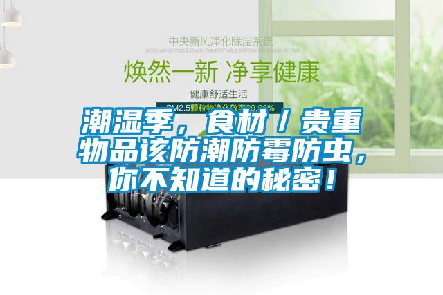 潮濕季，食材／貴重物品該防潮防霉防蟲，你不知道的秘密！