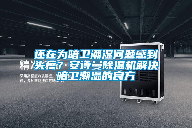 還在為暗衛(wèi)潮濕問題感到頭疼？安詩曼除濕機解決暗衛(wèi)潮濕的良方