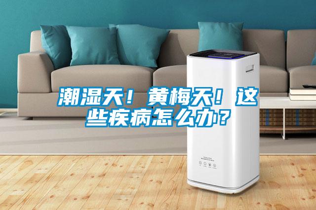 潮濕天！黃梅天！這些疾病怎么辦？