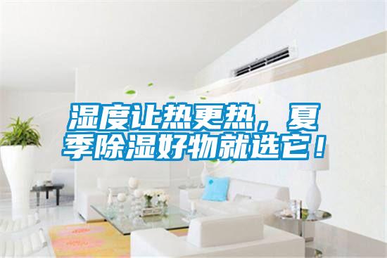 濕度讓熱更熱，夏季除濕好物就選它！