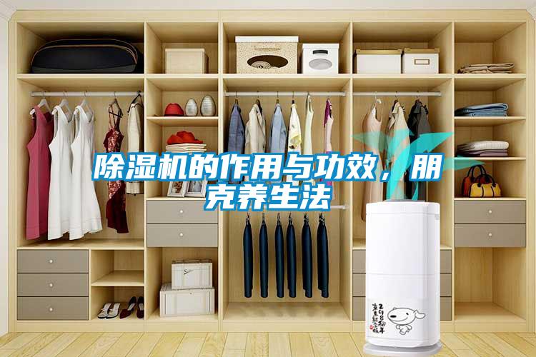 除濕機(jī)的作用與功效，朋克養(yǎng)生法