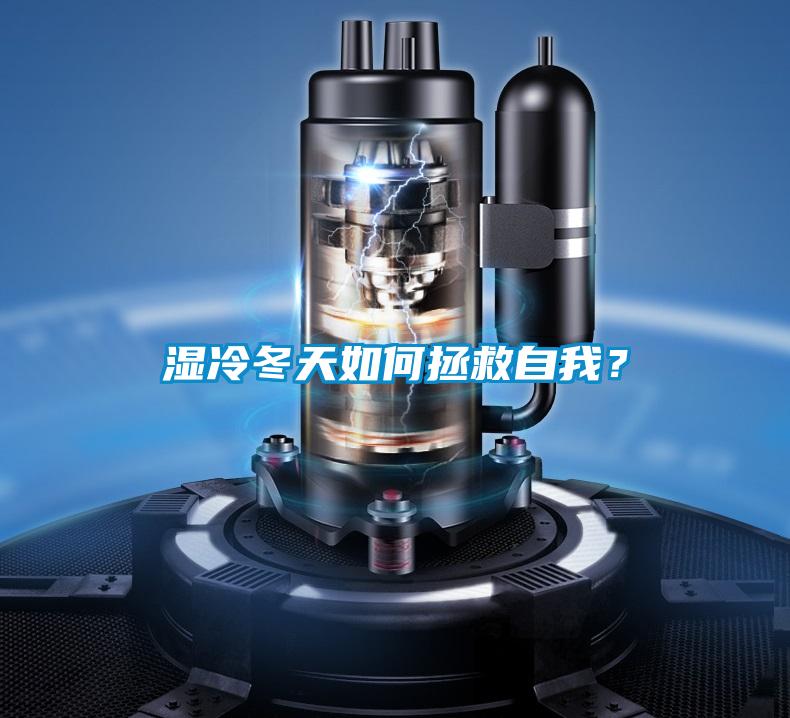 濕冷冬天如何拯救自我？