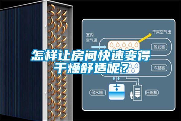 怎樣讓房間快速變得干燥舒適呢？