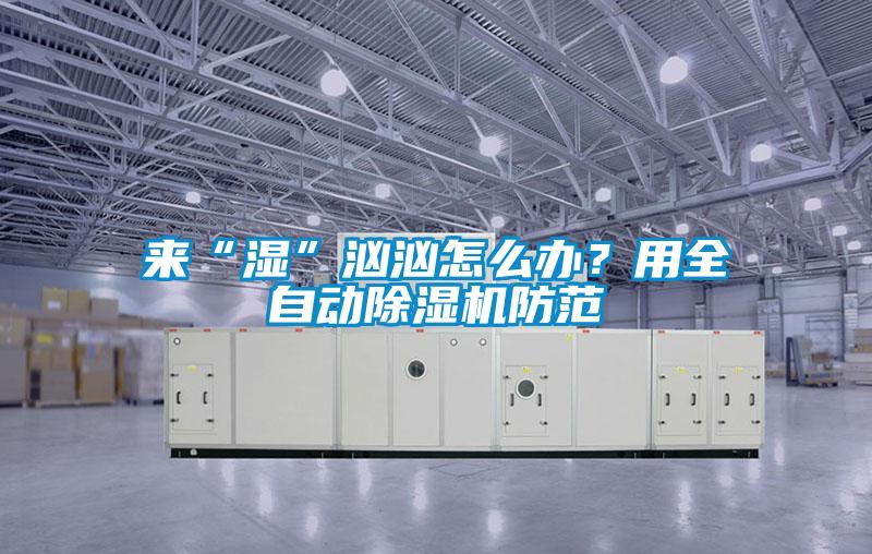 來“濕”洶洶怎么辦？用全自動除濕機防范