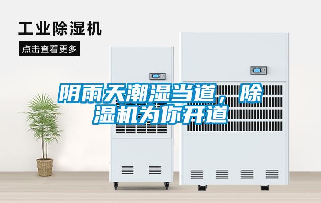 陰雨天潮濕當?shù)?，除濕機為你開道