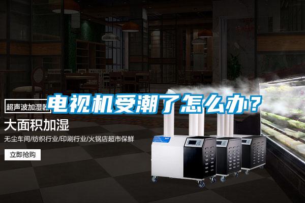 電視機(jī)受潮了怎么辦？
