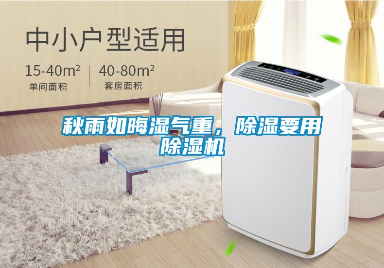 秋雨如晦濕氣重，除濕要用除濕機(jī)