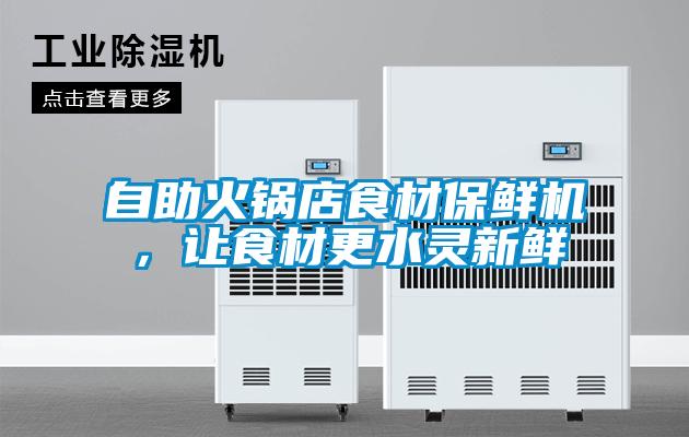 自助火鍋店食材保鮮機(jī)，讓食材更水靈新鮮