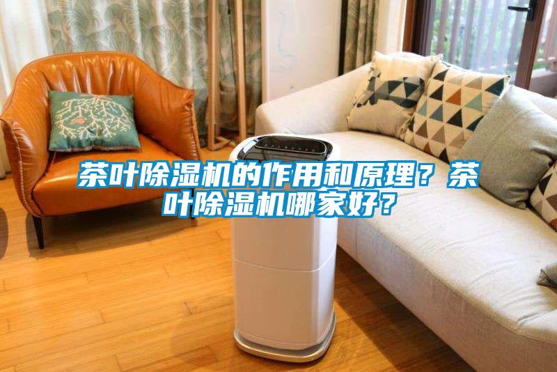 茶葉除濕機(jī)的作用和原理？茶葉除濕機(jī)哪家好？